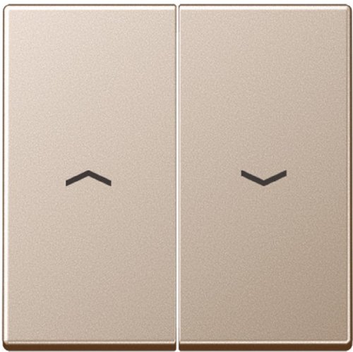 Лицевая панель Jung A creation для 2-кл. выключателя жалюзи шампань картинка